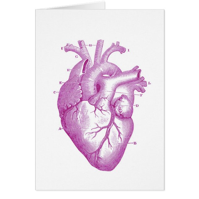 Purple Vintage Heart Anatomy (Front)