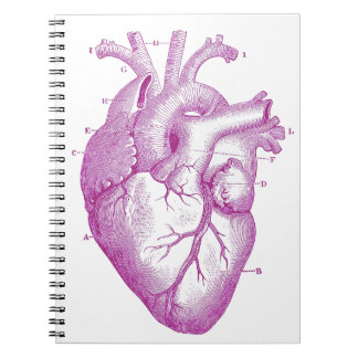 Purple Vintage Heart Anatomy Notebook