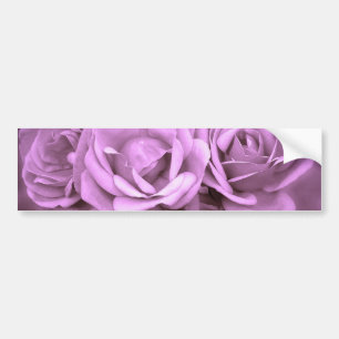 Purple Vintage Roses Bumper Sticker
