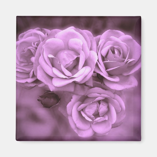 Purple Vintage Roses Magnet (Front)