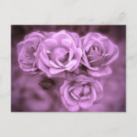 Purple Vintage Roses