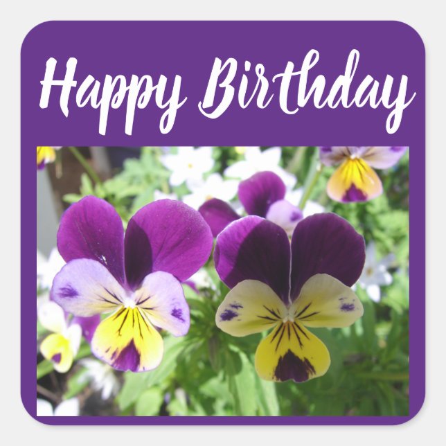 Purple Viola Pansy Pretty Flower floral Card Square Sticker (Front)
