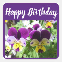 Purple Viola Pansy Pretty Flower floral Card