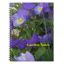 Purple Violas In A Garden Container