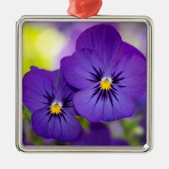Purple Violas Metal Ornament (Front)