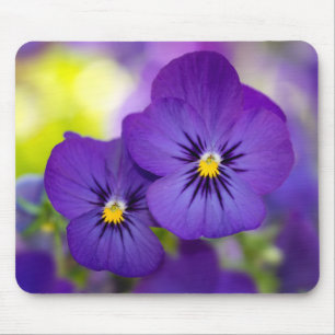 Purple Violas Mouse Pad