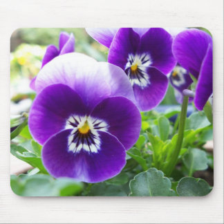 Purple Violas Mouse Pad