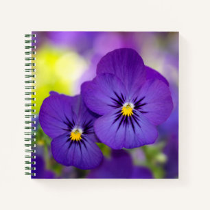 Purple Violas Notebook