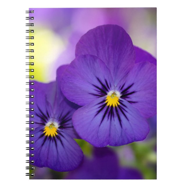 Purple Violas Notebook (Front)