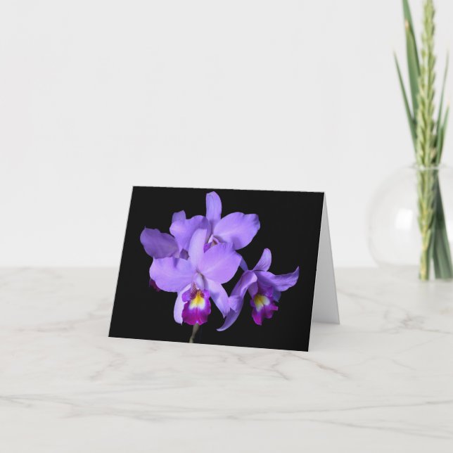 Purple Violet Eggplant Orchids Greeting Note Card (Front)