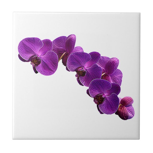 Purple Violet Orchid Flower Vine Ceramic Tile (Front)