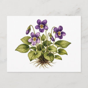 Purple Violet Vintage Style Botanical Postcard