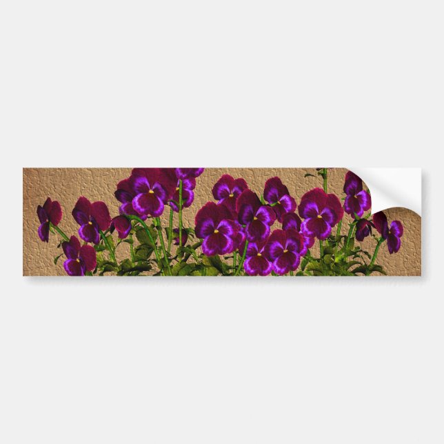 Purple Violets On Aged Paper Floral Bumper Sticker (Front)