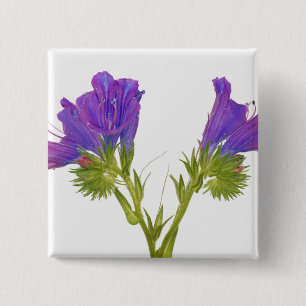 Purple vipers bugloss (echium plantagineum) 15 cm square badge