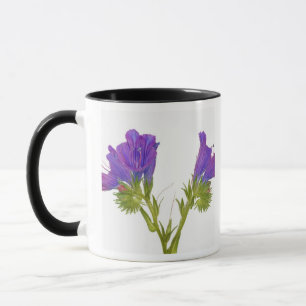 Purple vipers bugloss (echium plantagineum) mug