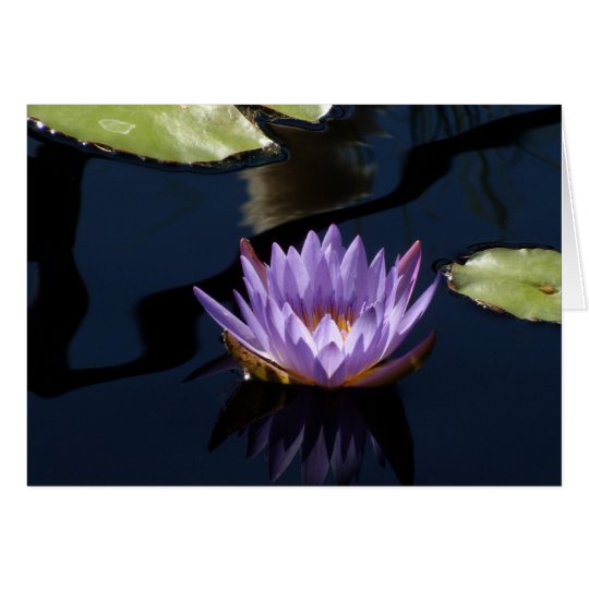 Purple Water Lily Card