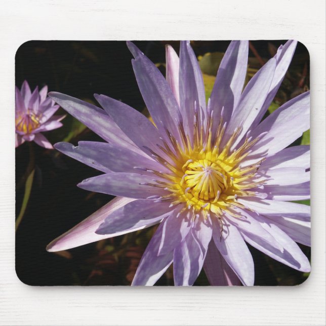 Purple Water Lily Mousepad (Front)