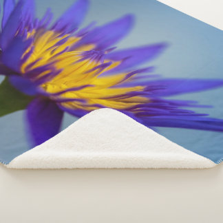 Purple Water Lily Sherpa Blanket