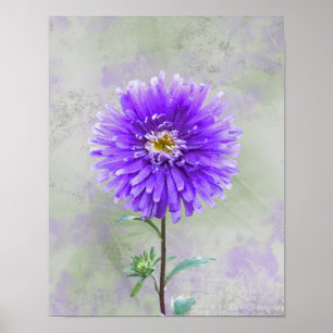 Purple Watercolor Dahlia Poster