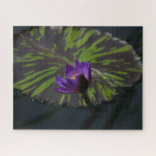 Purple Waterlilies Jigsaw Puzzle