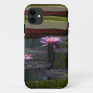 Purple Waterlilies Lotus iPhone 11 Case