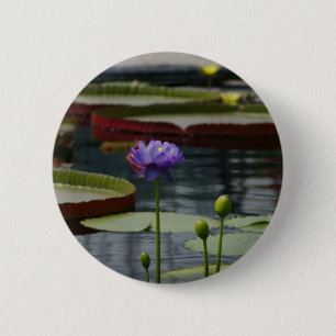 Purple Waterlily 6 Cm Round Badge