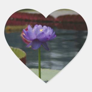 Purple Waterlily Heart Sticker