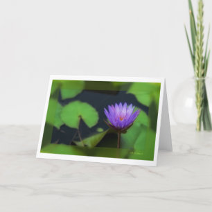 Purple waterlily II - Customised Card