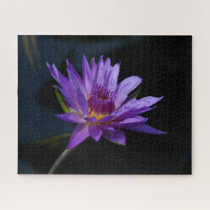 Purple Waterlily Jigsaw Puzzle