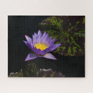 Purple Waterlily Jigsaw Puzzle