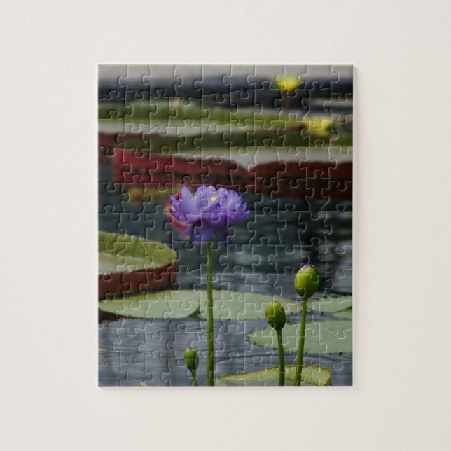 Purple Waterlily Jigsaw Puzzle (Vertical)