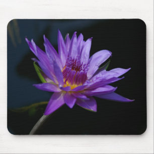 Purple Waterlily Lotus Mouse Pad
