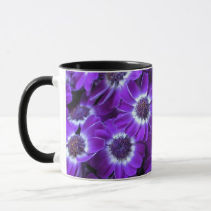 Purple White Cinerarias Mug