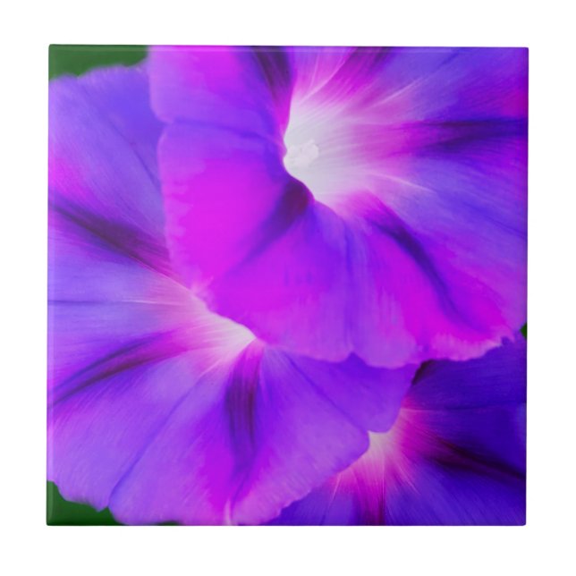 Purple White Floral  Ceramic Tile (Front)