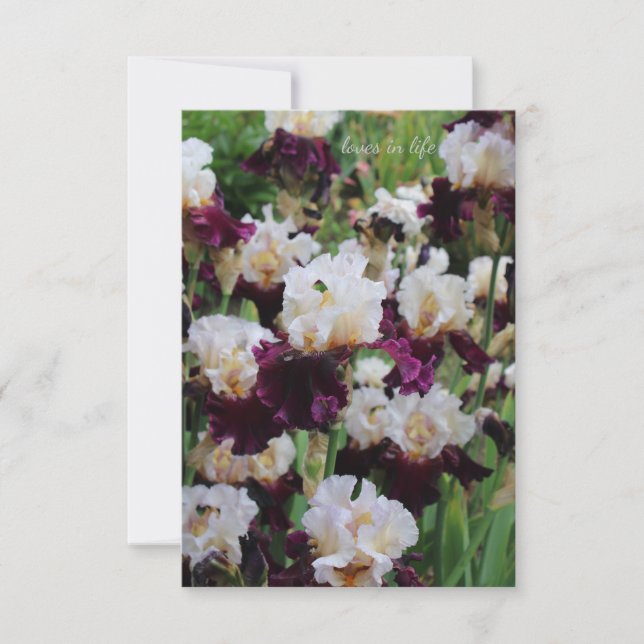 Purple & White Iris Bed Card (Front)