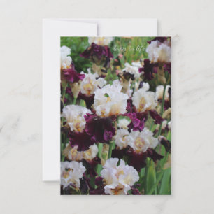 Purple & White Iris Bed Card