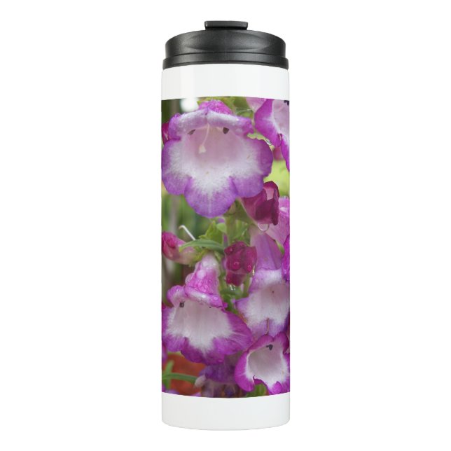 Purple & white penstemon flowers thermal tumbler (Front)