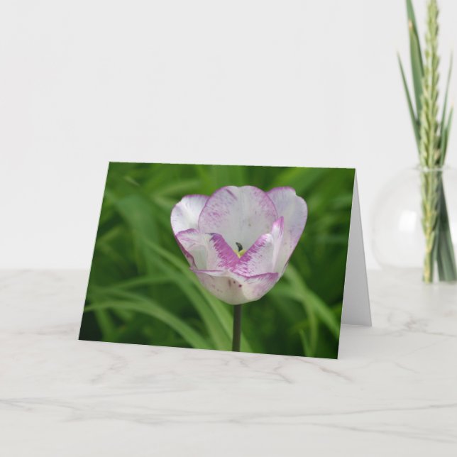 Purple-white tulip card (Front)