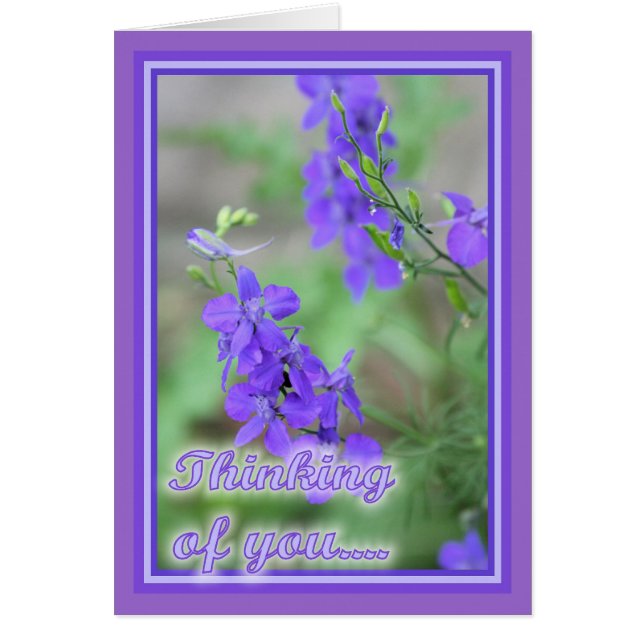 Purple Wild Flowers (Front)