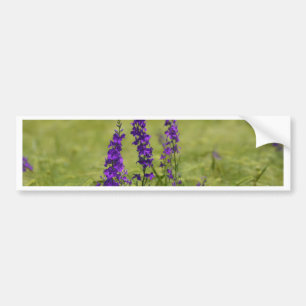 Purple Wild Flowers in the field Bumper Sticker