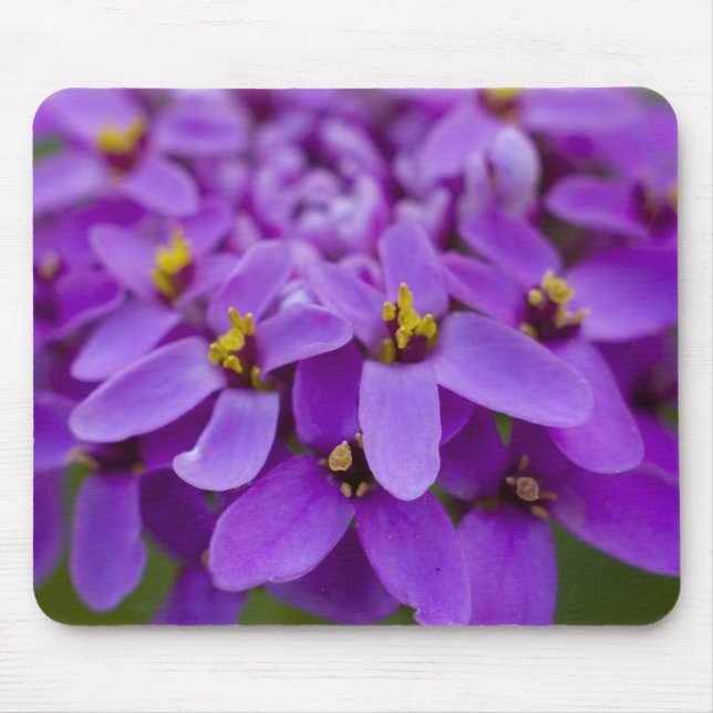 Purple Wildflower Mouse Pad (Front)