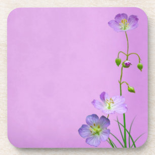 Purple Wildflower on Purple Coaster