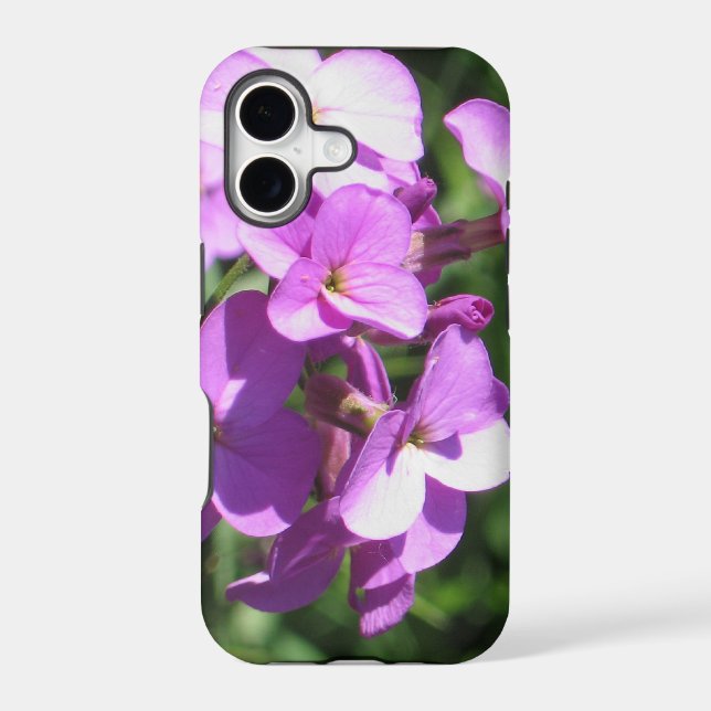 Purple Wildflowers  (Back)