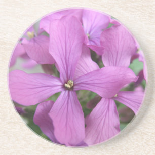 Purple Wildflowers Coasters