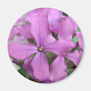Purple Wildflowers Magnet