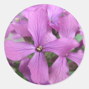 Purple Wildflowers Sticker