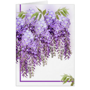 Purple Wisteria Card