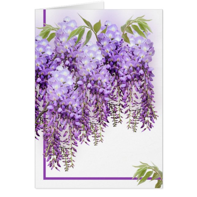 Purple Wisteria Card (Front)
