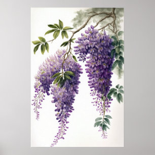 Purple Wisteria Flowers Art Print Poster