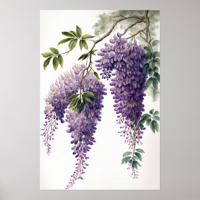 Purple Wisteria Flowers Art Print Poster (Front)
